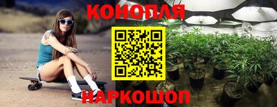 МДПВ Аша