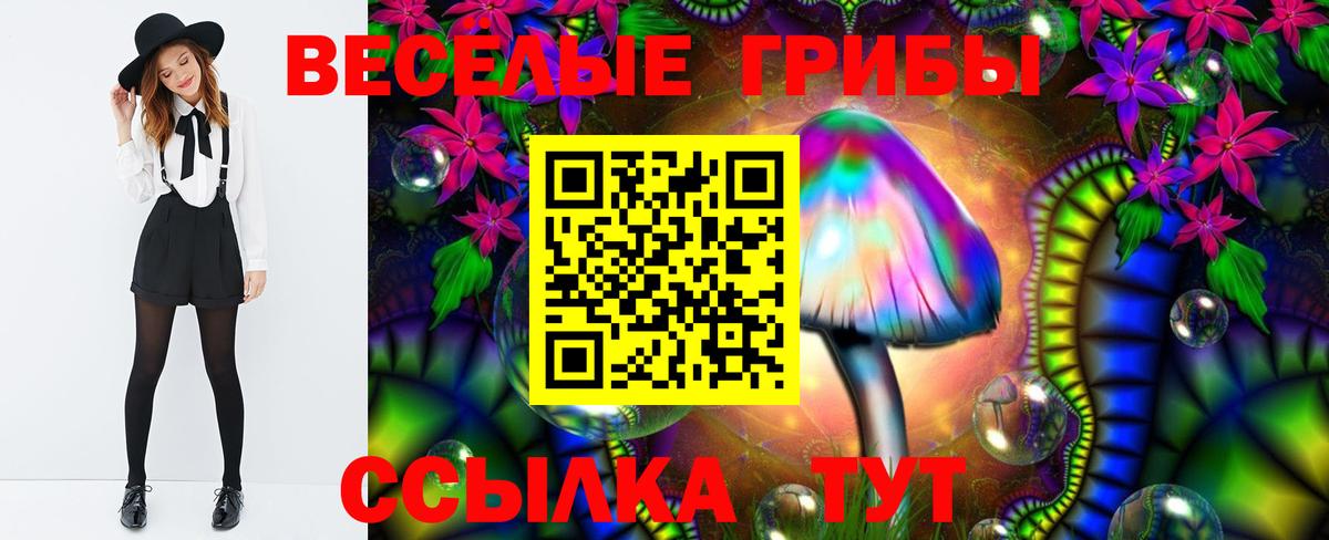 Галлюциногенные грибы Cubensis  Вход с VPN  Лянтор 