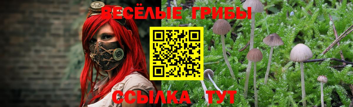 Галлюциногенные грибы GOLDEN TEACHER Лянтор